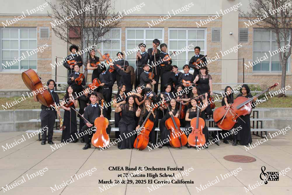 Musical Images